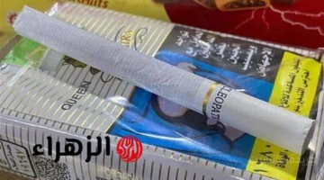 الأسعار الرسمية.. قائمة أسعار السجائر اليوم في مصر للأنواع المحلية والأجنبية 1